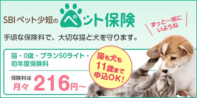 SBIペット少短のペット保険 手ごろな保険料で、大切な猫と犬を守ります。 猫・0歳プラン50ライト 保険料は月々216円! 猫も犬も11歳まで申込OK! ずっと一緒にいようね